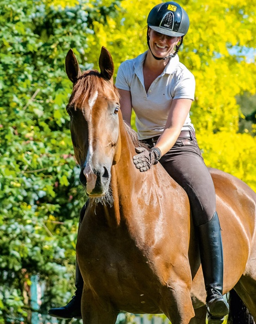 Hanoverians from Verden - friends for life