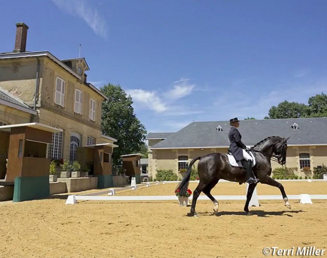 Dressage at the Pompadour state stud :: Photo © Terri Miller