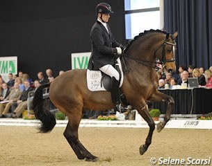 Peter Borggreve on the NRW State stud owned stallion Laureus at the 2013 CDN Munster :: Photo © Selene Scarsi