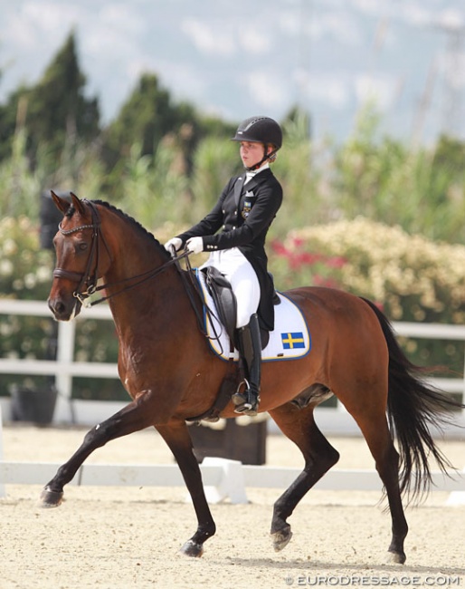 Jennifer Lindvall on Jazzmatazz at the 2016 European Junior Riders Championships :: Photo © Astrid Appels