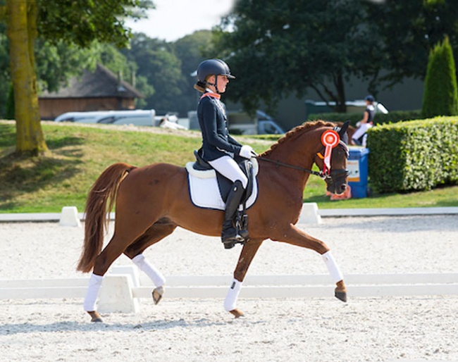 Jill Bogers and Zip at the 2016 Dutch Championships :: Photo © Digishots