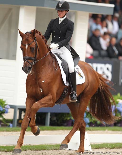 Caroline Darcourt and Sankt Erik II at the 2016 World Young Horse Championships :: Photo © Astrid Appels