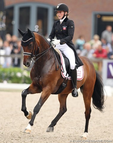 Nanna Skodborg Merrald and Gorklintgaards Quantico at the 2016 World Young Horse Championships :: Photo © Astrid Appels