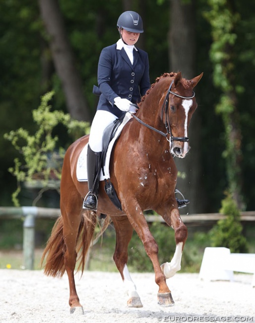 Mara de Vries and Habibi at the 2017 CDIO Compiegne :: Photo © Astrid Appels