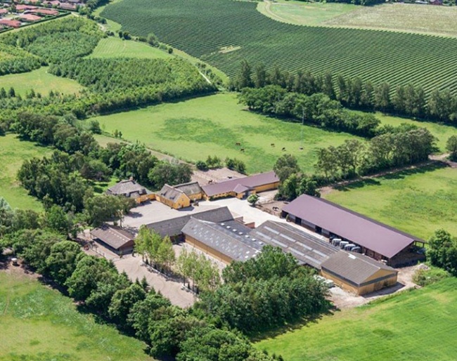 Stallion station Hesselhoj in Denmark