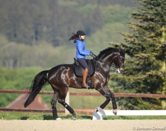 Kristina Sprehe brought along her rising GP horse Destiny for training at the 2018 CDI Hagen :: Photo © Barbara Schnell