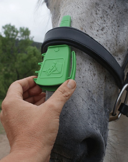 The ISES Noseband Taper Gauge :: Photo © Christina Wilkins