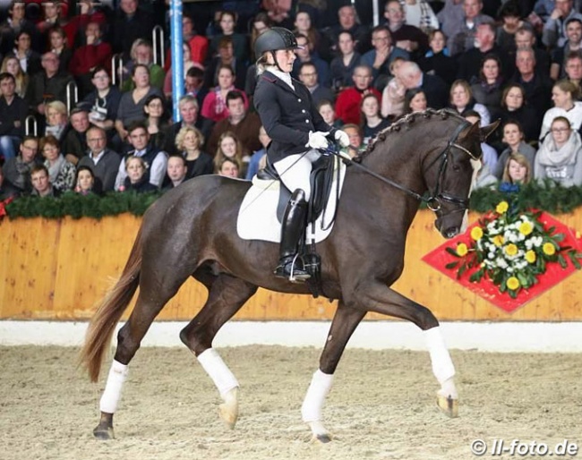 Wibke Hartmann-Stommel and Sezuan's Donnerhall at the PS Stallion Show in February 2018 :: Photo © LL-foto