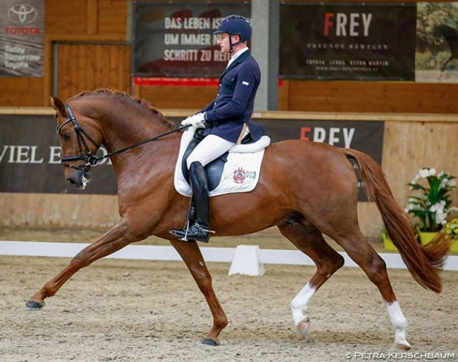 Matthias Rath and Destacado at the 2018 CDI Wiener Neustadt at the end of March :: Photo © Petra Kerschbaum