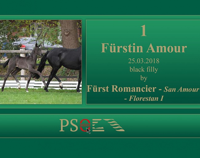 Fürstin Amour (by Fürst Romancier x San Amour x Florestan)