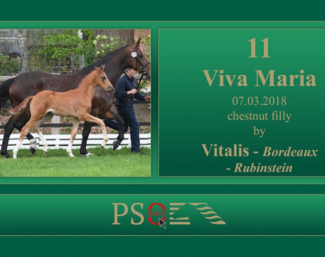 Viva Maria (by Vitalis x Bordeaux x Rubinstein)