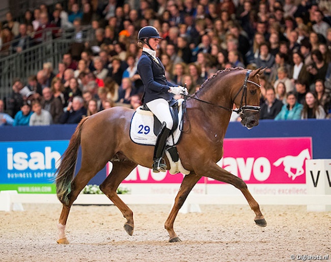 Joyce Lenaerts and Iconic B at the 2017 KWPN Stallion Licensing :: Photo © Digishot