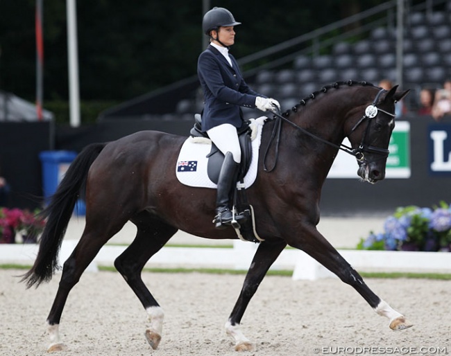 Rebecca Rooke and Muchamp Royal Black at the 2017 World Young Horse Championships :: Photo © Astrid Appels