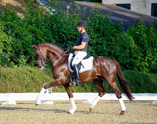 Wolfgang Himsl and Valparaiso at the 2018 Austrian WCYH Selection Trial :: Photo © Petra Kerschbaum