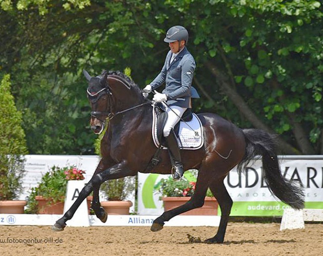 Rudolf Widmann and Der Schufro at the 2018 CDN Babenhausen :: Photo © Rainer Dill