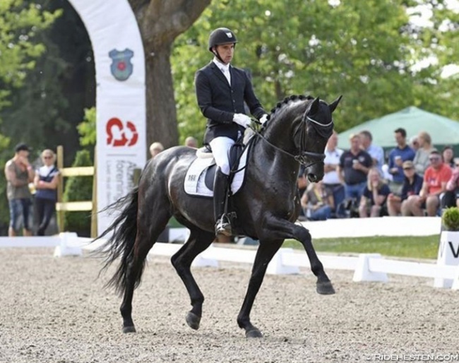 Andreas Helgstrand on the 2017 Danish Young Horse Champion Zhaplin Langholt :: Photo © Ridehesten