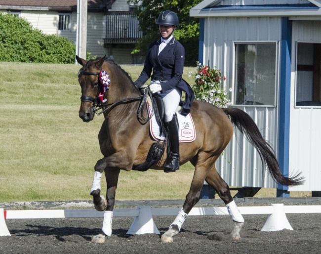 Megan Lane and Zodiac MW at the 2018 CDI Cedar Valley :: Photo © Char Hodgson