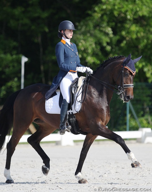 Thalia Rockx on Gerda Nova at the 2018 CDIO Compiègne :: Photo © Astrid Appels