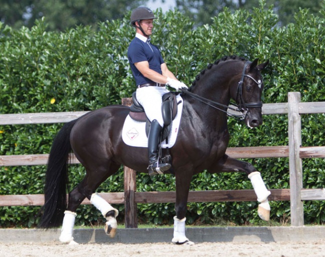 Tristan Tucker on his own and Eliane Cordia-van Reesema's Sir Weihbach (by Sir Donnerhall out of World Number One Weihegold OLD)