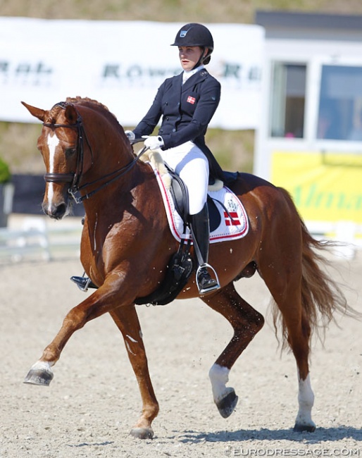 Victoria Vallentin and Ludwig der Sonnenkönig at the 2018 CDIO Uggerhalne :: Photo © Astrid Appels