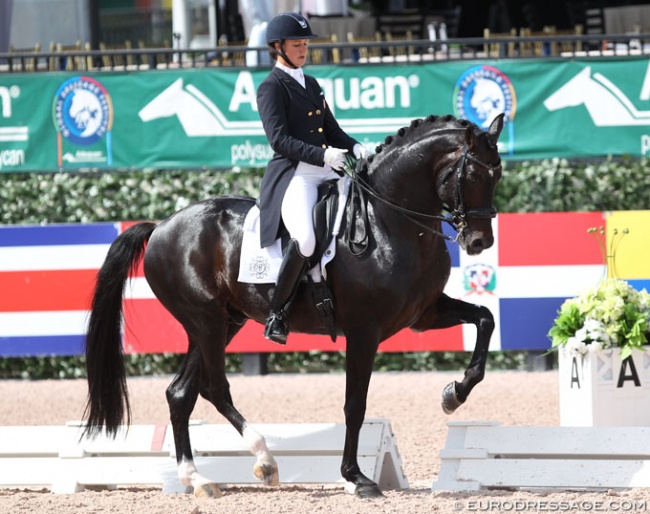 Adrienne Lyle and Salvino at the 2018 CDI 5* in Wellington :: Photo © Astrid Appels