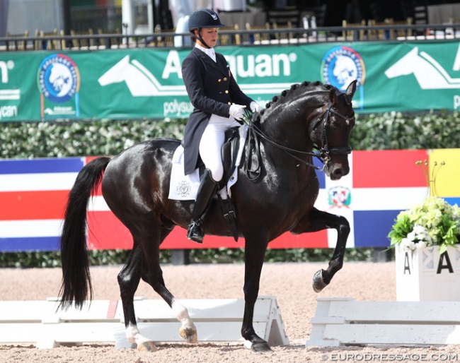 Adrienne Lyle and Salvino at the 2018 CDI 5* in Wellington :: Photo © Astrid Appels