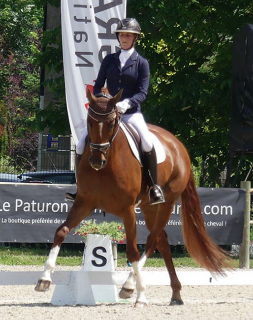 Camille Judet Cheret on Dancing Highness (by Dancier x His Highness) :: Photo © Pole Hippique Lorraine