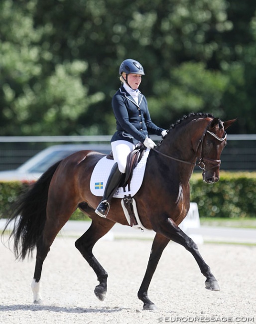 Yvonne Osterholm and Dorina at the 2017 World Young Horse Championships :: Photo © Astrid Appels