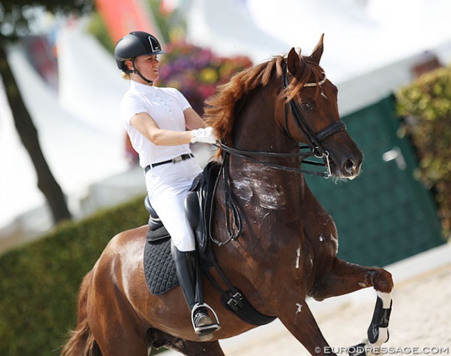 Madeleine Witte-Vrees schooling Charmeur at the 2018 CDIO Aachen :: Photo © Astrid Appels