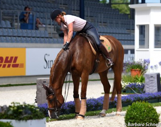 Isabell Werth's Bella Rose having a little snack at the 2018 CDIO Aachen :: Photo © Barbara Schnell