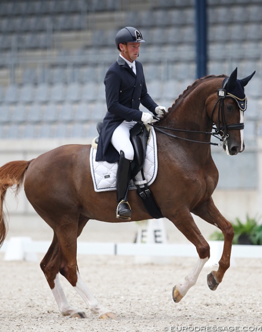 Australian Warwick McLean and Sir Heinrich M at the Australian WEG Nominated Event in Aachen in May :: Photo © Astrid Appels