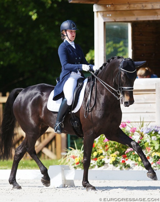 Katelijne Maes on Ibou van de Kapelhof at the 2018 CDIO Compiègne :: Photo © Astrid Appels