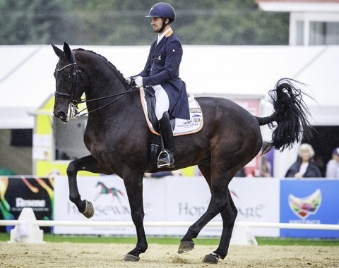 John Thompson and Antonello are the 2018 New Zealand HOYS Champions :: Photo © Libby Law