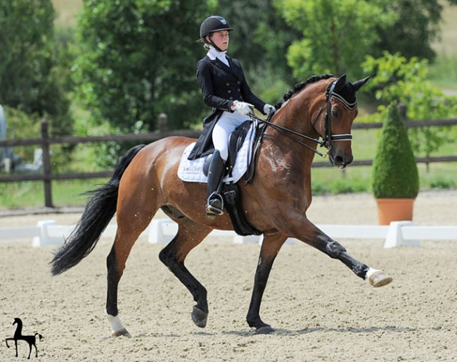 Felicitas Hendricks and Faible As at the 2018 CDI Leudelange :: Photo © Wegener