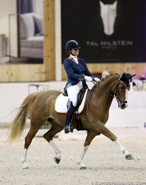 Kiki Romney and Reedborder Amazing at the 2018 CDI Lier :: Photo © Astrid Appels