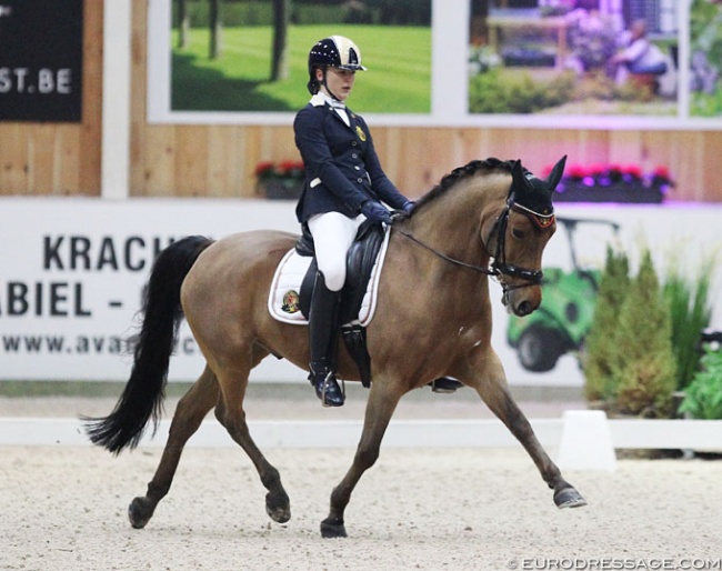 Marieke van Nespen on Orchid's Borneo II at the 2018 CDI Lier :: Photo © Astrid Appels