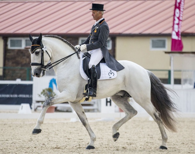 Juan Antonio Jiménez Cobo and Euclides MOR at the 2018 CDI Segovia :: Jimenez: "He has an excellent character. He is sweet but always attentive to his surroundings; he is a very, very noble stallion. He likes to show off. He likes to compete, together with Orgullose MOR he travels very well.”