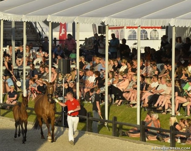 2018 Nordic International Sales :: Photo © Ridehesten
