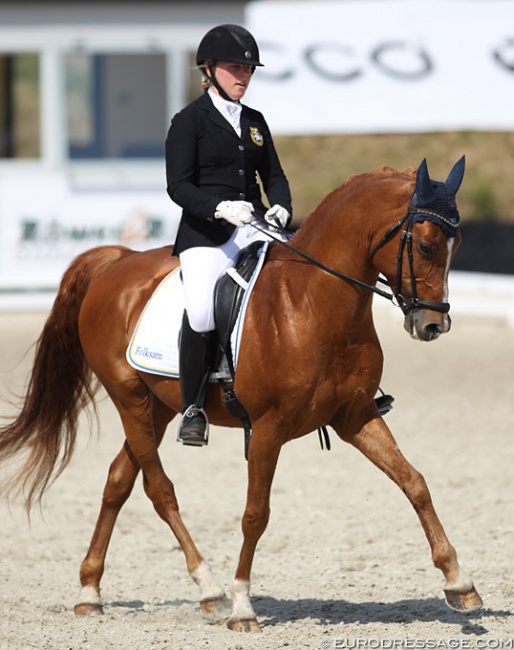 Wynja Eriksdotter Rubin on Wacos Rache at the 2018 CDIO Uggerhalne :: Photo © Astrid Appels