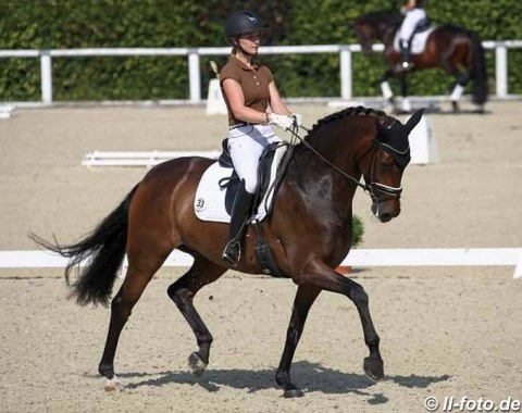 Bianca Nowag and Fiesta Danza at the 2018 German WCYH Selection Trial in Warendorf :: Photo © LL-foto