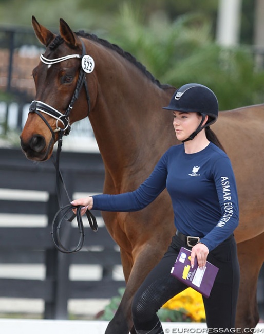 Ava MacCoubrey and Ritter Benno at the 2018 CDI Wellington :: Photo © Astrid Appels