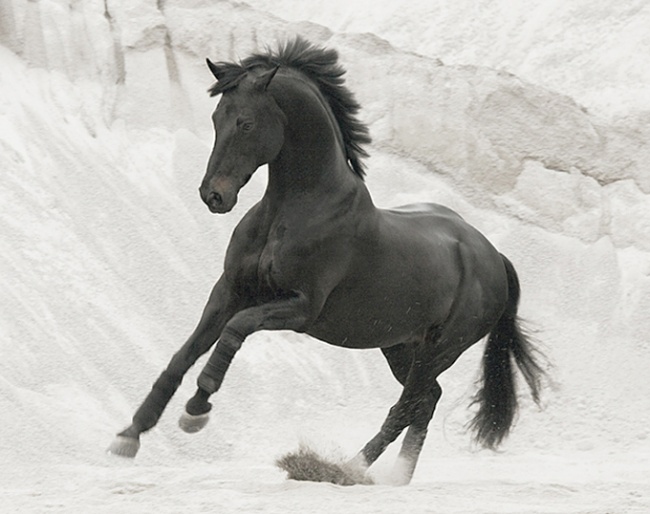 Weltman (by Weltruhm x Ecuador xx) :: Photo © Helene Schmidt