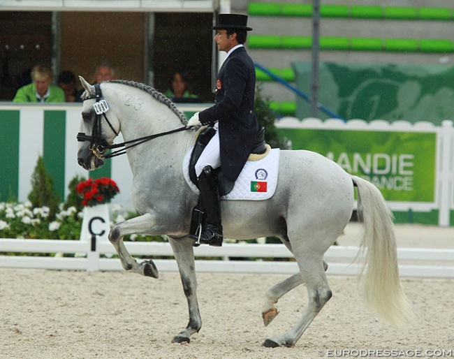 Manuel Veiga and Ben Hur da Broa at the 2014 World Equestrian Games :: Photo © Astrid Appels