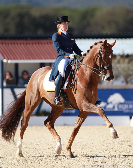 Lynne Maas and Zamora at the 2015 CDI Vidauban :: Photo © Astrid Appels