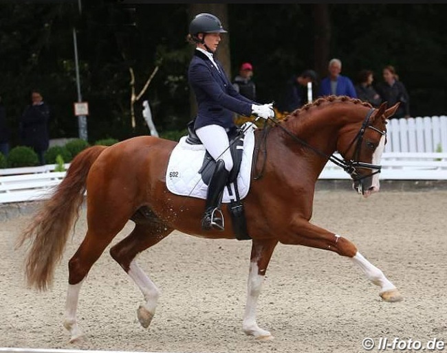 Lydia Camp with Leo Löwenherz at the 2017 Bundeschampionate :: Photo © LL-foto