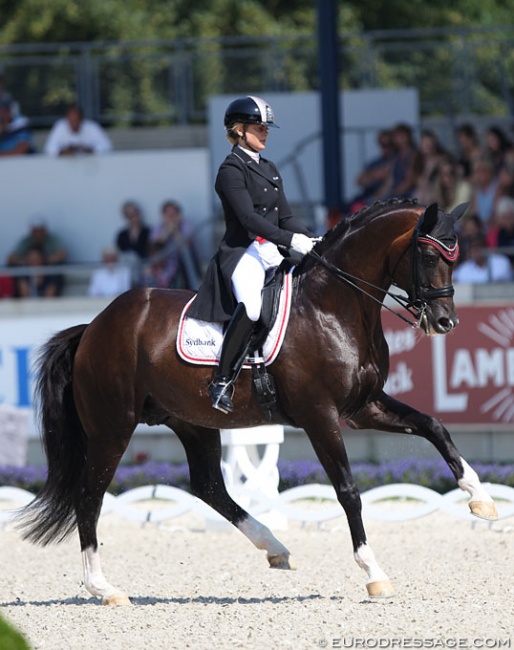 Anna Zibrandtsen and Arlando at the 2018 CDIO Aachen :: Photo © Astrid Appels