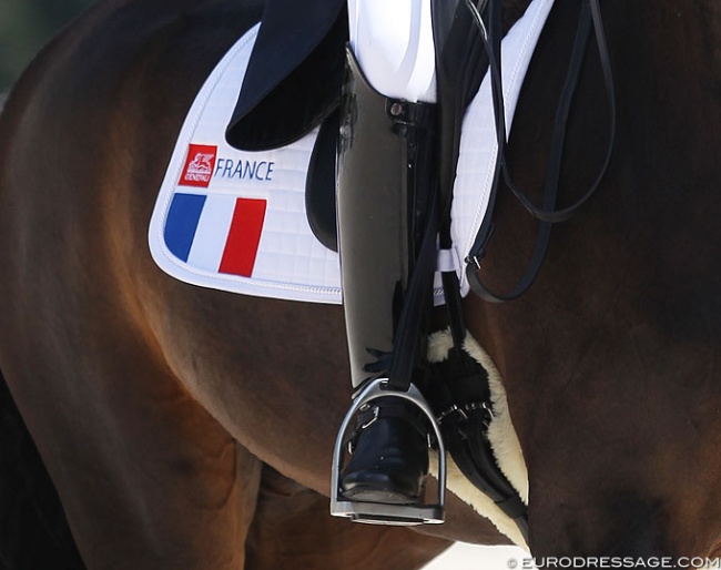 No French riders at the 2018 World Equestrian Games :: Photo © Astrid Appels