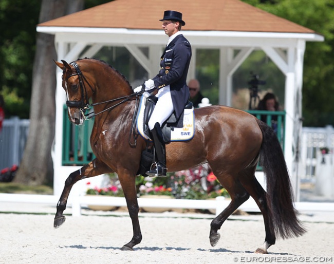 Patrik Kittel and Well Done de la Roche CMF at the 2018 CDIO Compiègne :: Photo © Astrid Appels