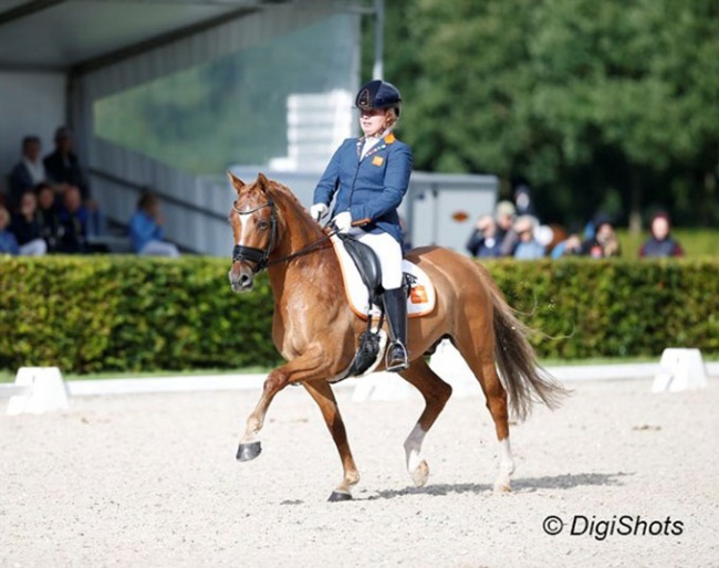 Thessa Gilbers and Baumann's Despino :: Photo © Digishots