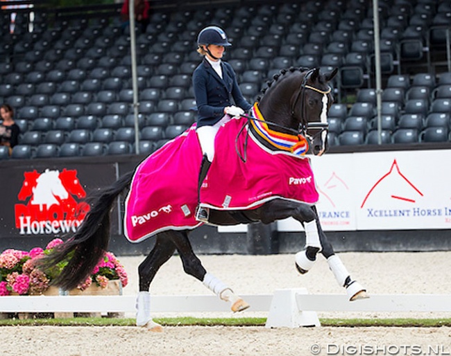 Marieke van der Putten and Jameson RS2 Win the 2018 Pavo Cup Finals for 4-year olds :: Photo © Digishots